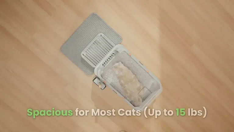 Cat Litter Box Lifestyle Video poster from 3200KStudio selected work
